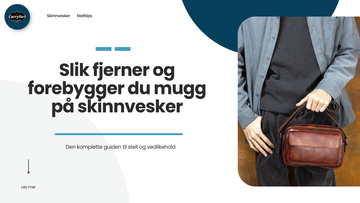 Banner: slik fjerner og forebygger du mugg på skinnvesker, med en brun skinnveske